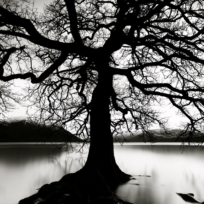 472 The Spirit by Michel Rajkovic